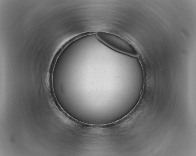 X0000111360932200907100953