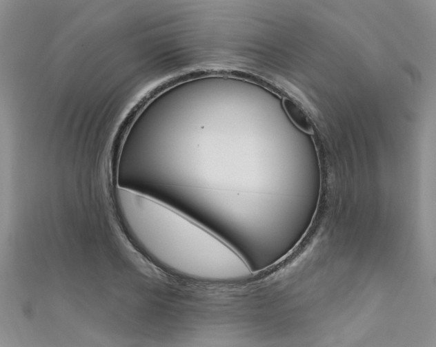 X0000111360934200907100953