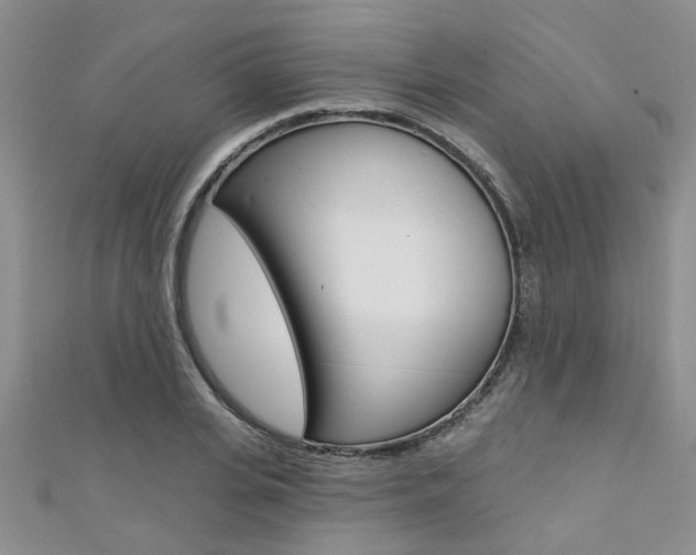X0000111360935200907100953
