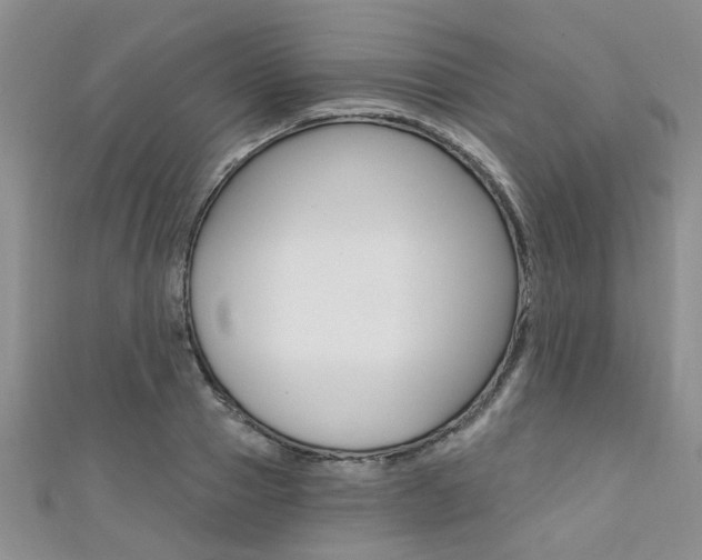 X0000111360937200907100953