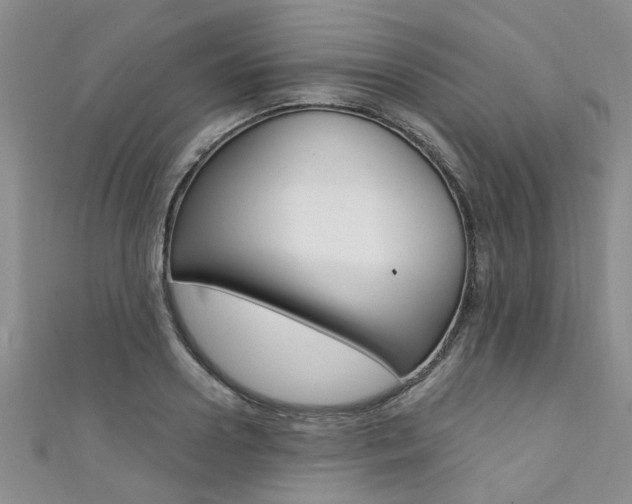 X0000111360938200907100953
