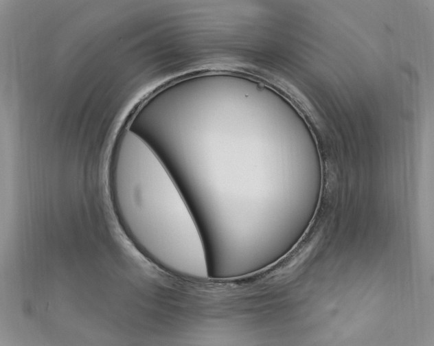 X0000111360939200907100953