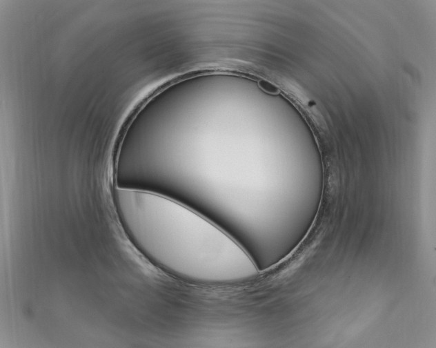 X0000111360940200907100953