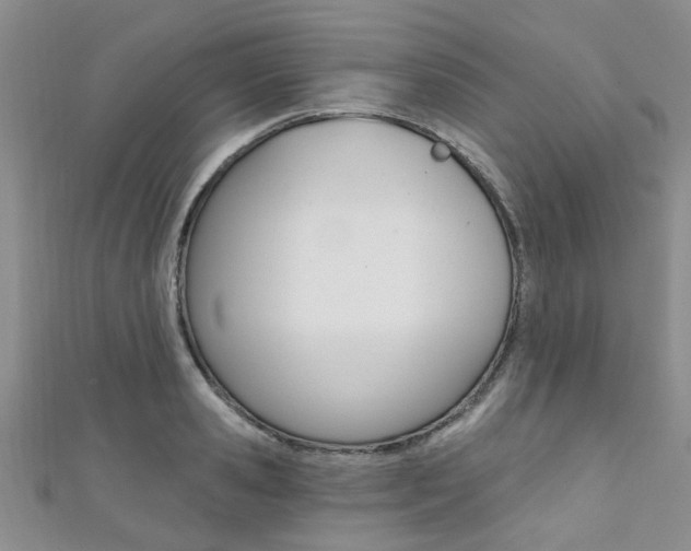 X0000111360941200907100953