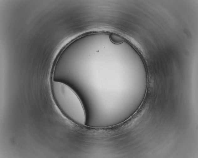 X0000111360943200907100953