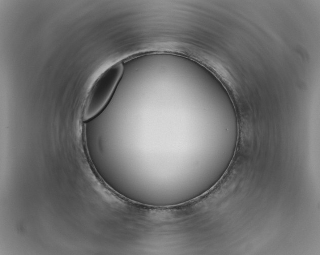 X0000111360944200907100953