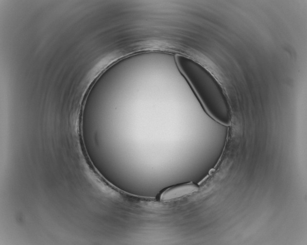 X0000111360946200907100953