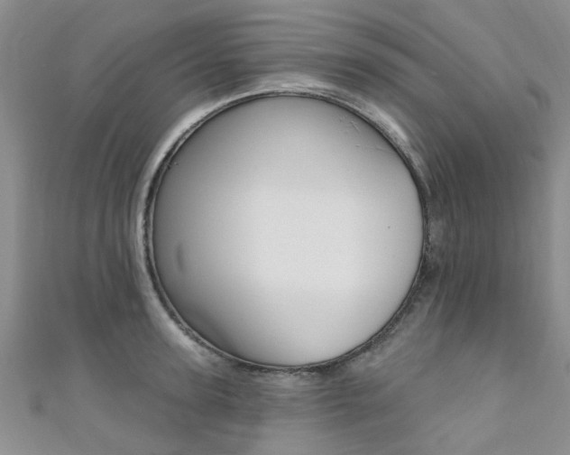 X0000111360947200907100953