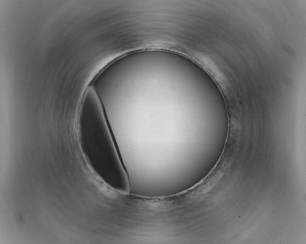 X0000111360948200907100953