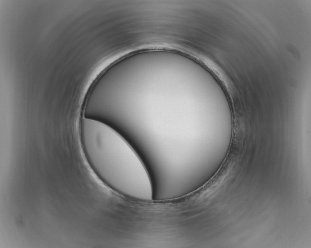 X0000111360951200907100953