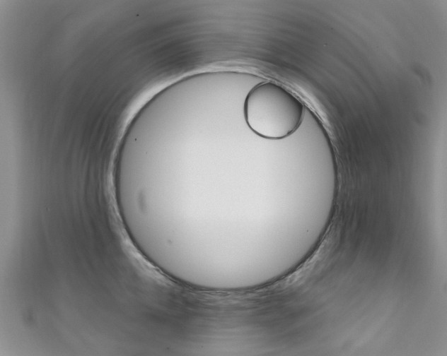 X0000111360952200907100953