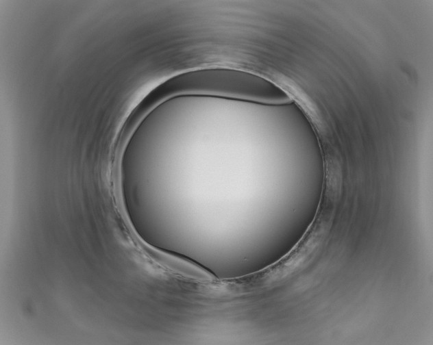 X0000111360956200907100953