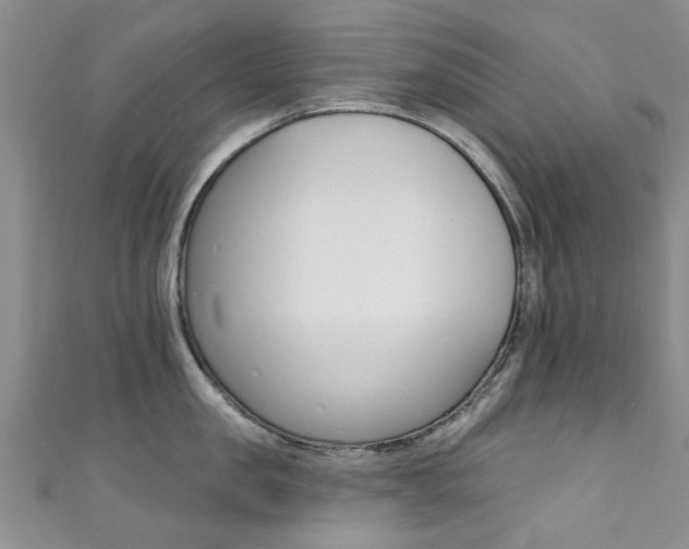 X0000111360957200907100953