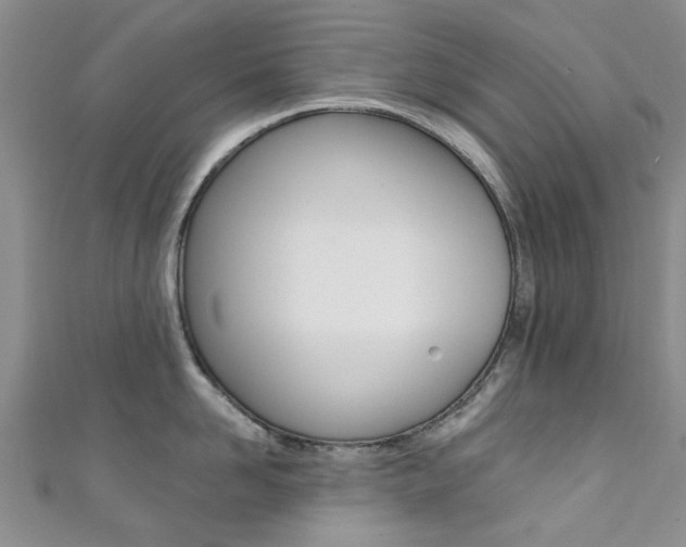 X0000111360958200907100953