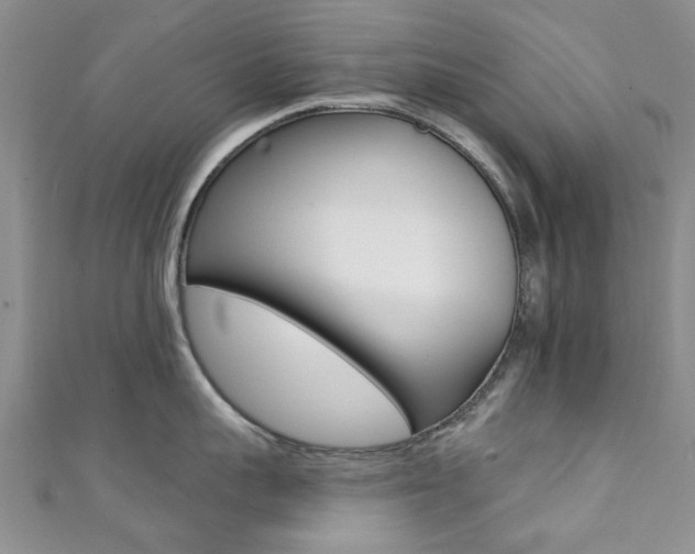 X0000111360959200907100953