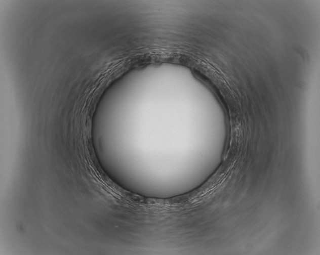 X0000111360961200907100953
