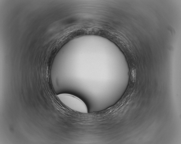 X0000111360963200907100953