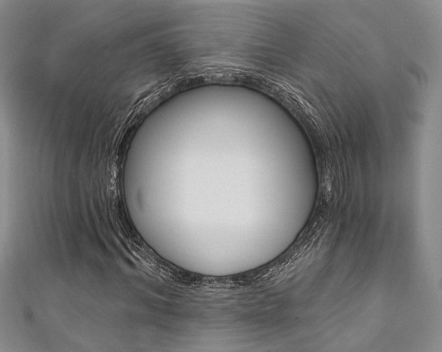 X0000111360964200907100953