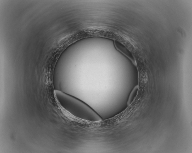 X0000111360965200907100953