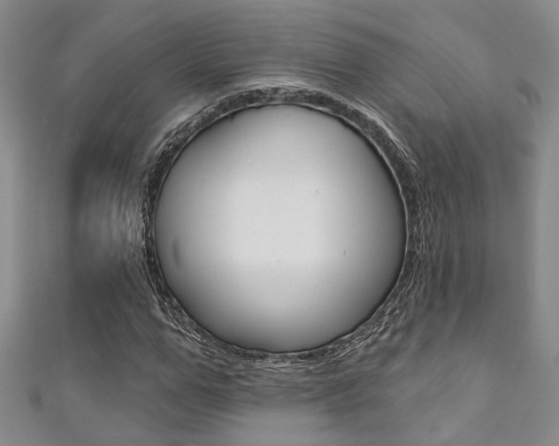 X0000111360967200907100953