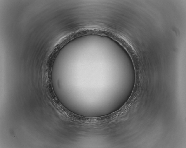 X0000111360968200907100953