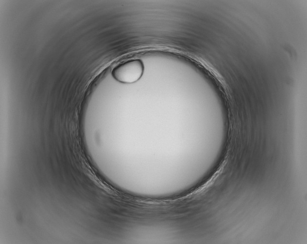 X0000111360969200907100953