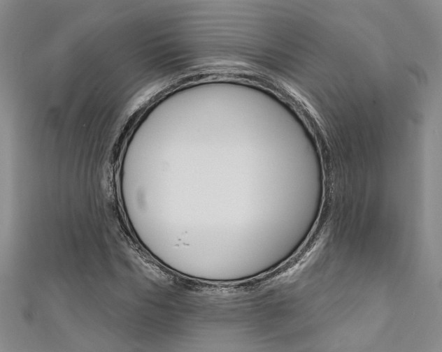 X0000111360970200907100953