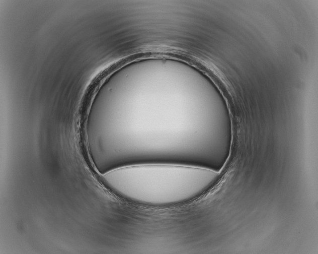 X0000111360971200907100953