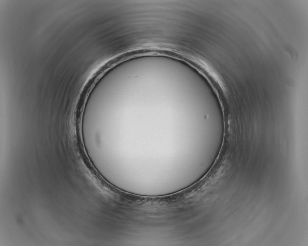 X0000111360972200907100953