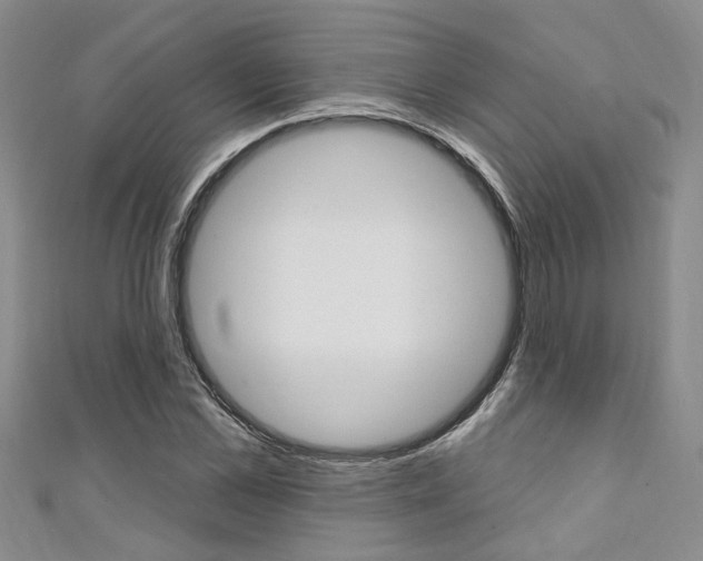 X0000111360973200907100953