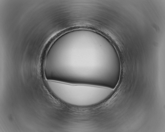 X0000111360975200907100953