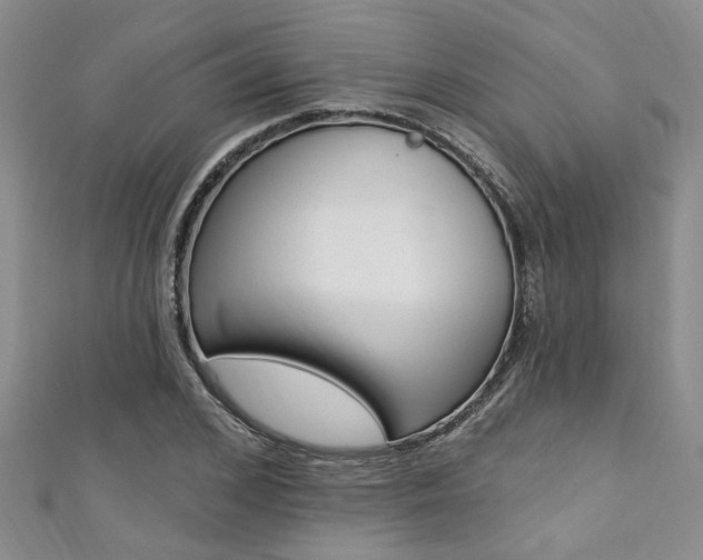 X0000111360976200907100953