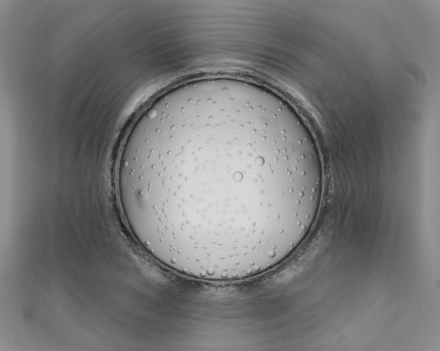 X0000111360978200907100953