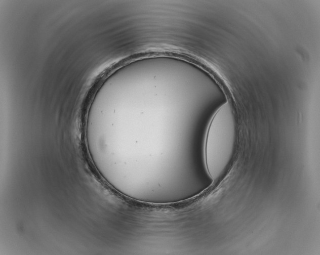 X0000111360979200907100953