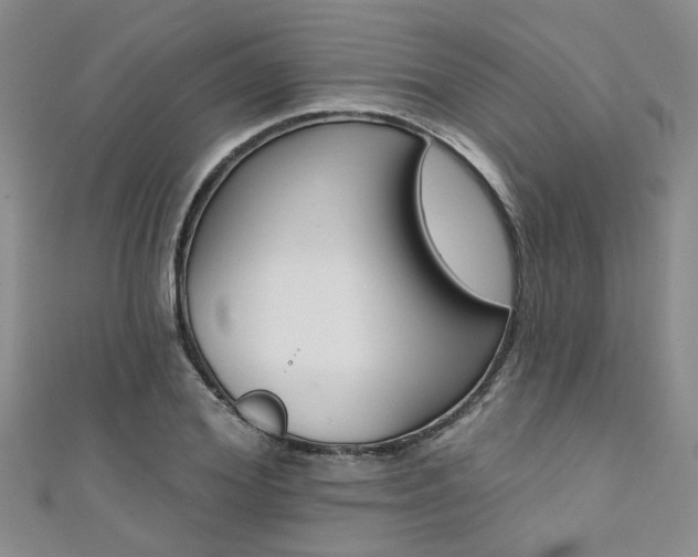 X0000111360980200907100953