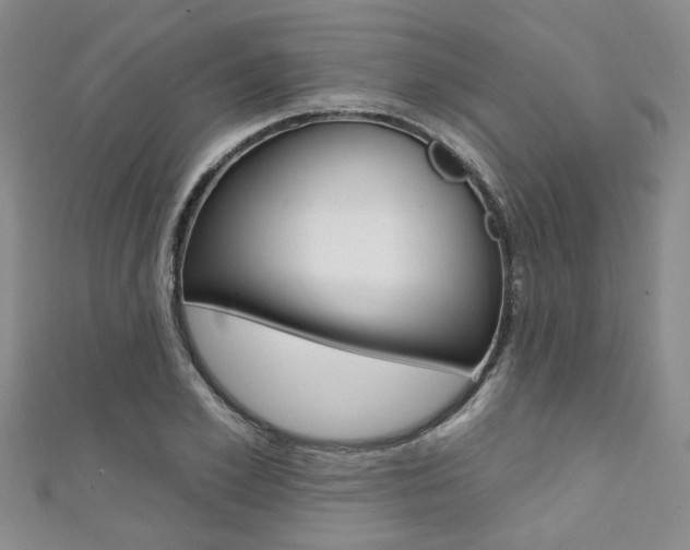 X0000111360981200907100953