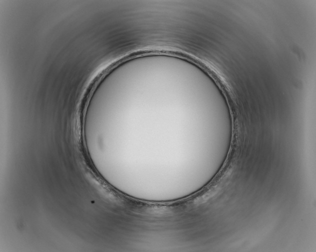 X0000111360982200907100953
