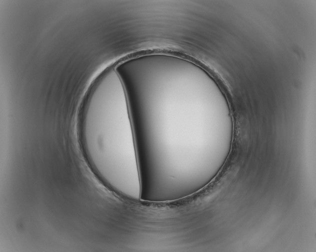 X0000111360983200907100952