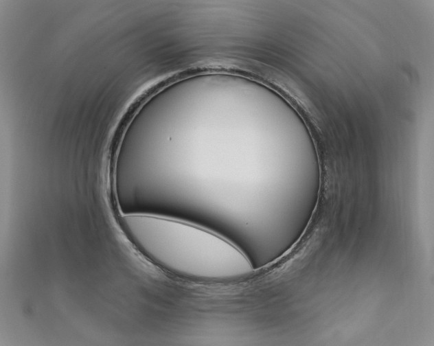 X0000111360984200907100952