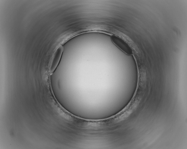 X0000111360985200907100952