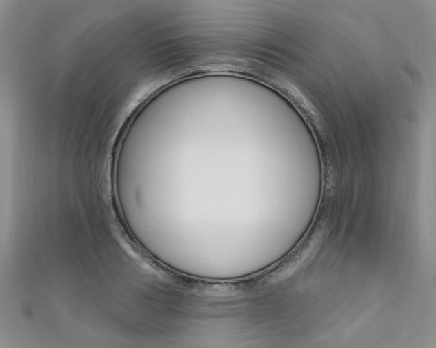 X0000111360986200907100952