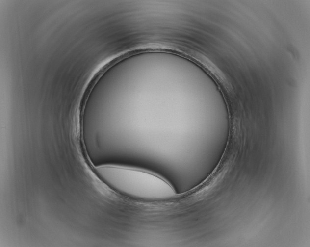 X0000111360988200907100952