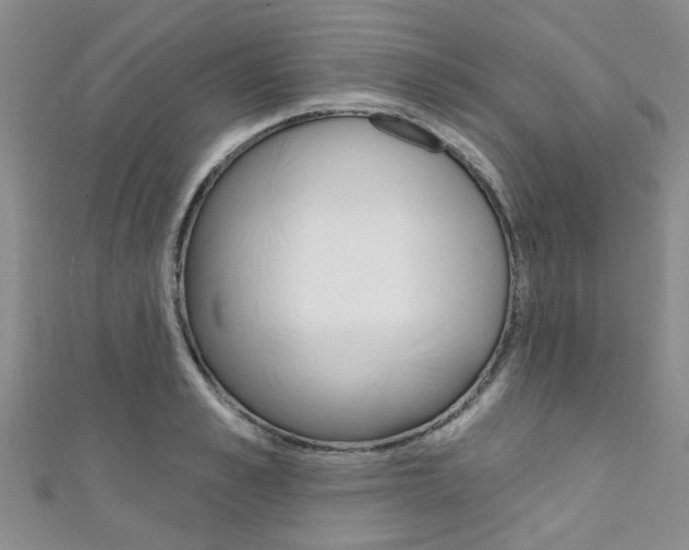 X0000111360989200907100952