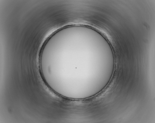 X0000111360990200907100952