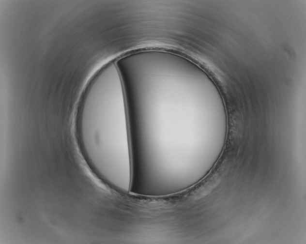 X0000111360991200907100952
