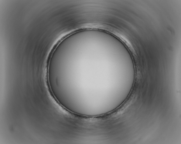 X0000111360992200907100952