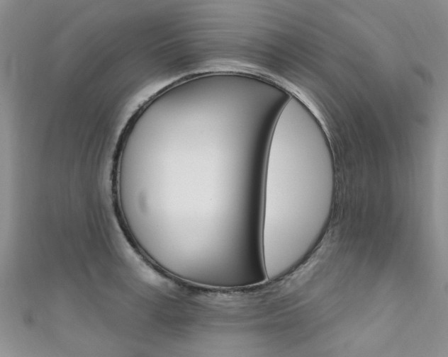 X0000111360995200907100952