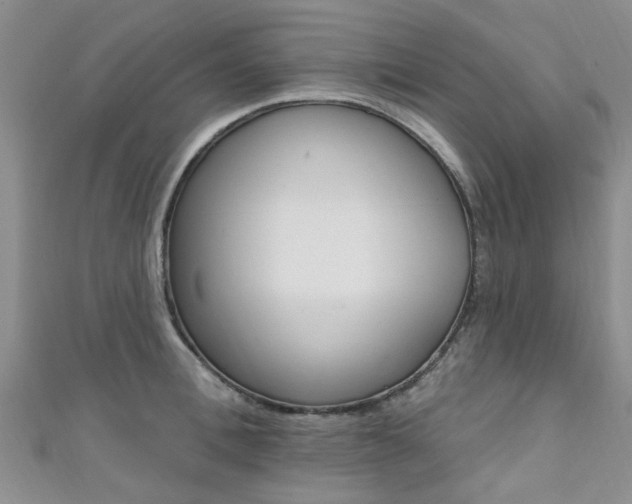 X0000111360996200907100952
