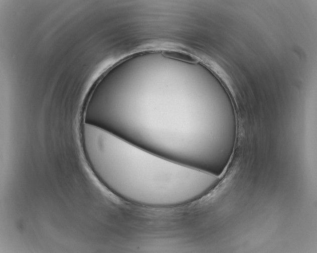 X0000111360997200907100952