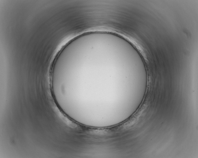 X0000111360998200907100952